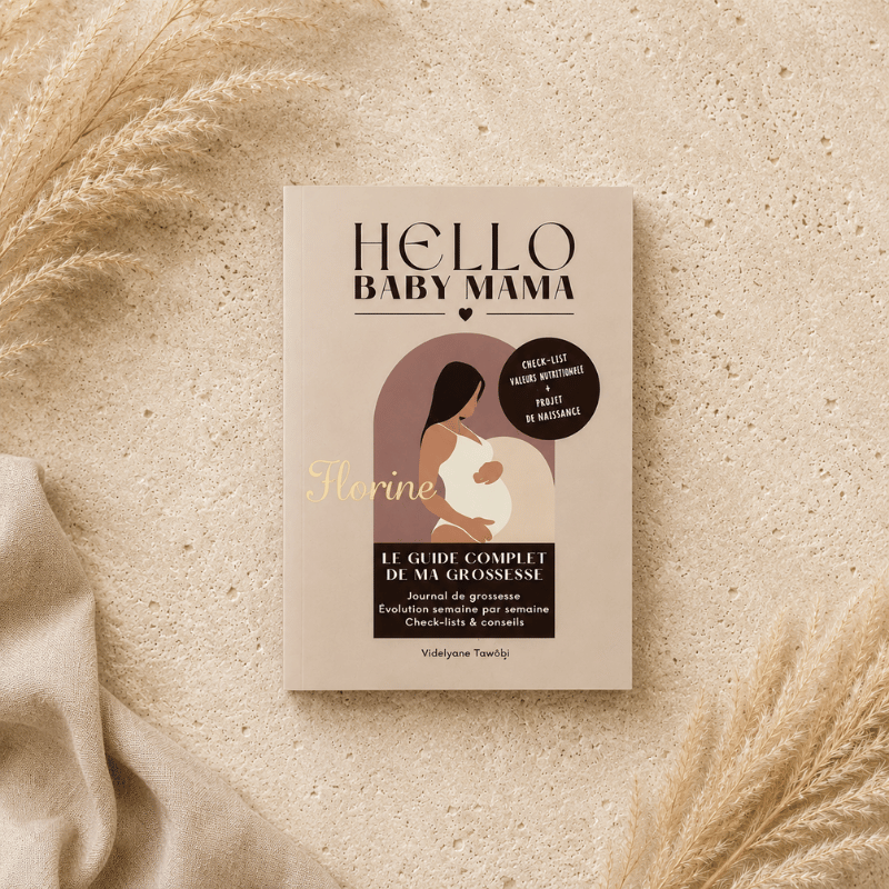 Guide de la grossesse "hello baby mama" en édition créative