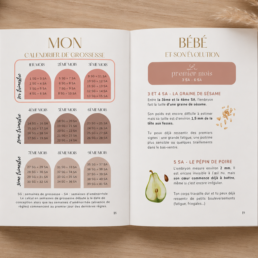 presentation du contenu du guide de la grossesse Hello Baby Mama