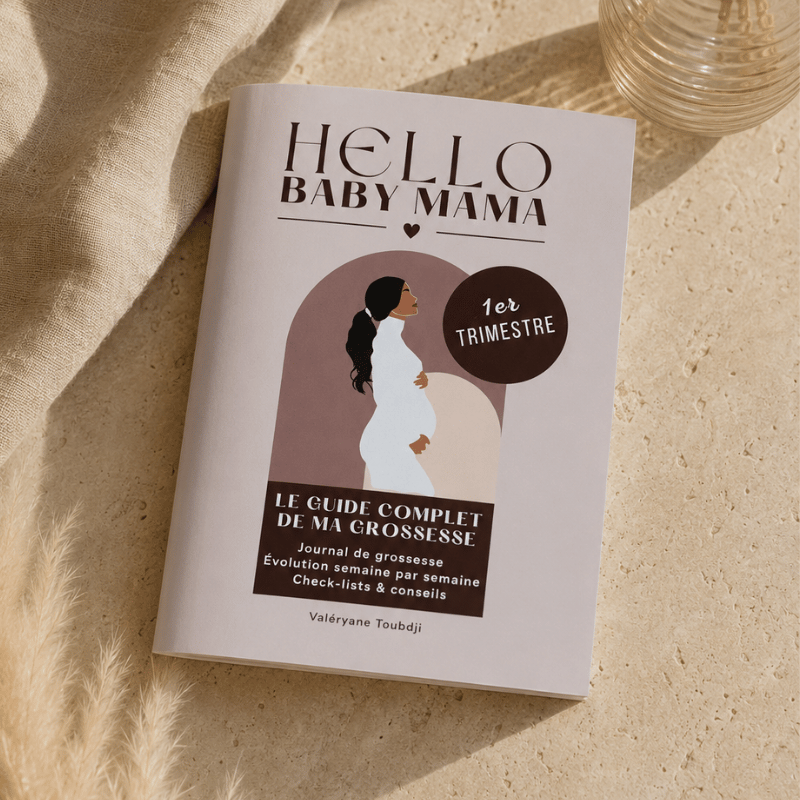 guide du premier trimestre Hello Baby Mama, journal dégrossisse, check-lists